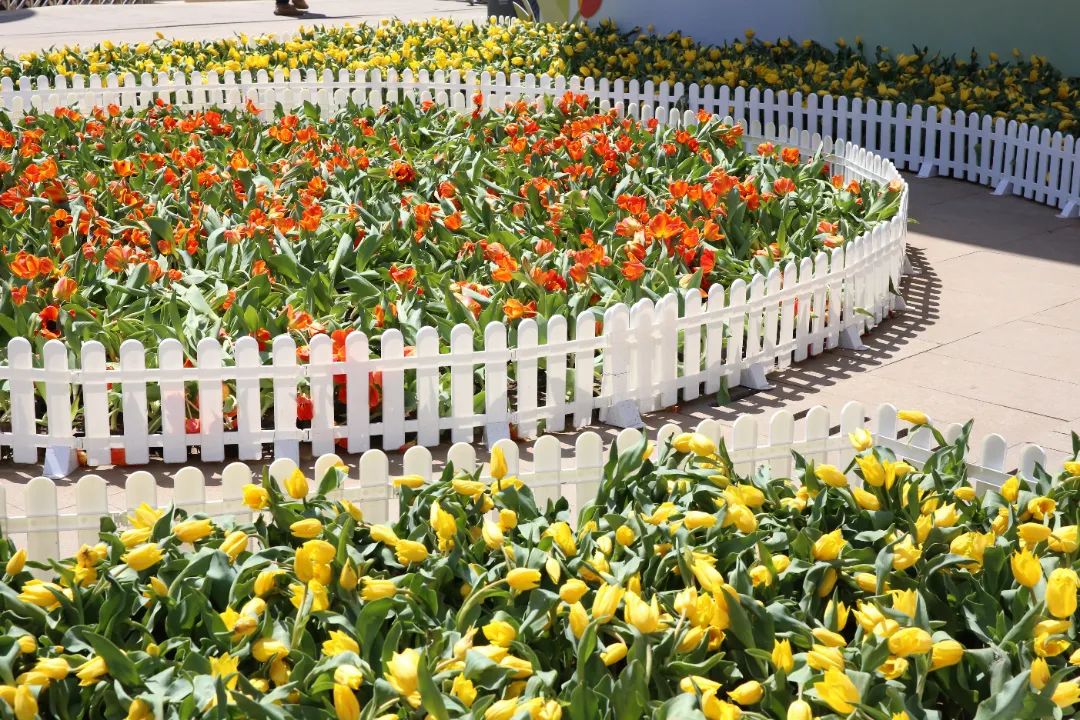 台东步行街附近的游玩景点,五一一起去春游攻略