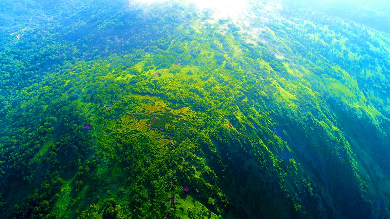 用AI绘图给黑龙江夏季避暑旅游，做几件“事件营销”