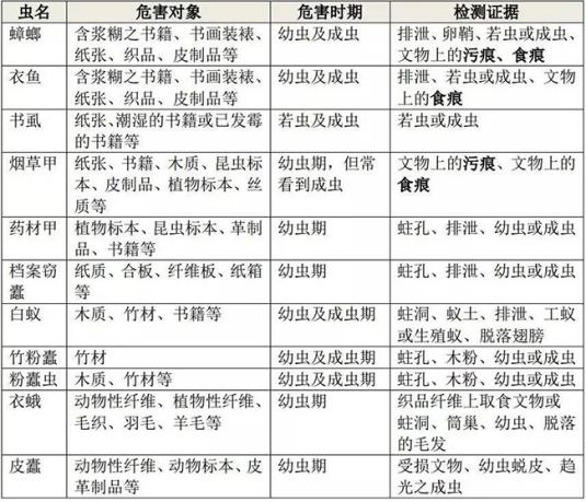 书籍上有虫子怎么办,书籍中的虫子是什么