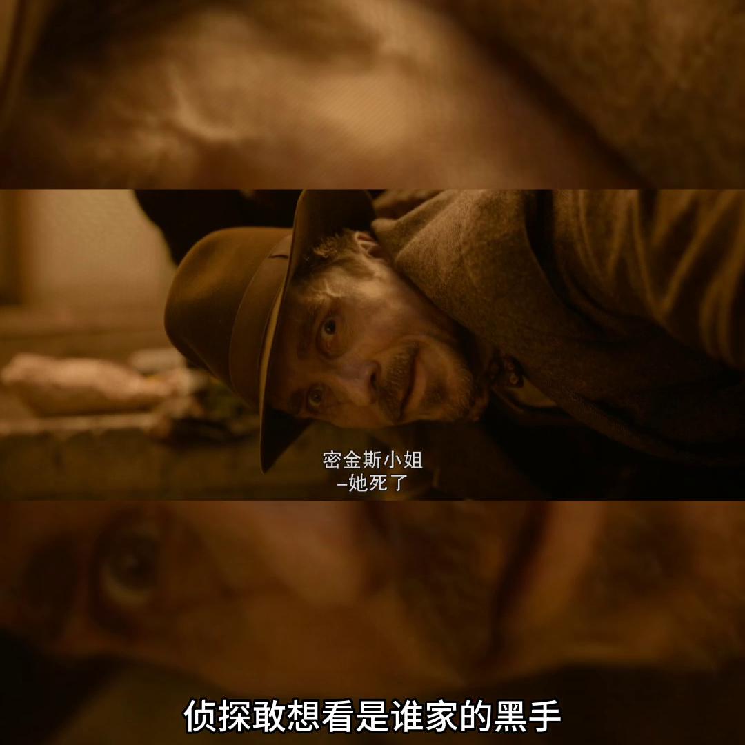 扑朔迷离的案件真相,扑朔迷离的案件是什么