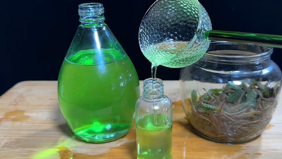 教你一招消灭家里所有的蚊子,对付蚊子的30个妙招