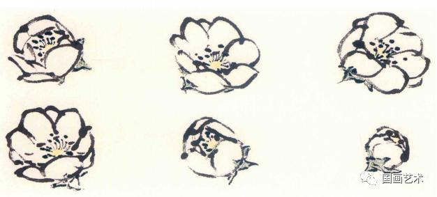刘存惠梅花的各种画法,梅花基本画法