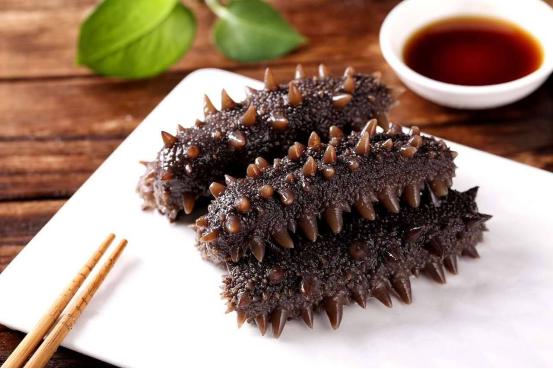 海参不能碰什么,海参为什么会化成一滩水