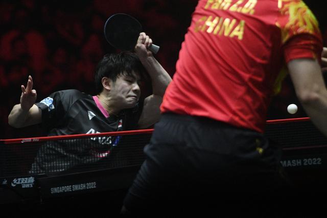 刘国梁评价釜山世乒赛樊振东,2017年世乒赛樊振东刘国梁