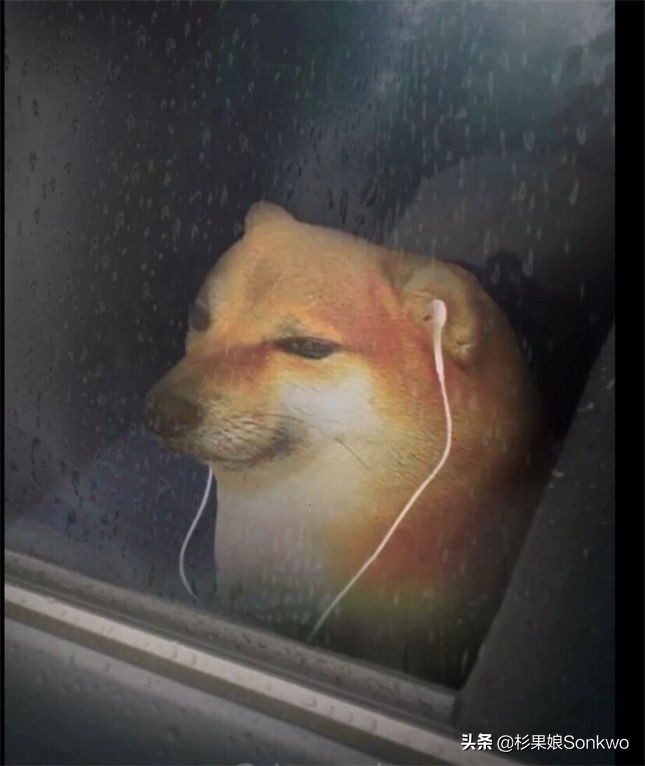 宝可梦珍钻复刻值得吗,一个秘密基地视频