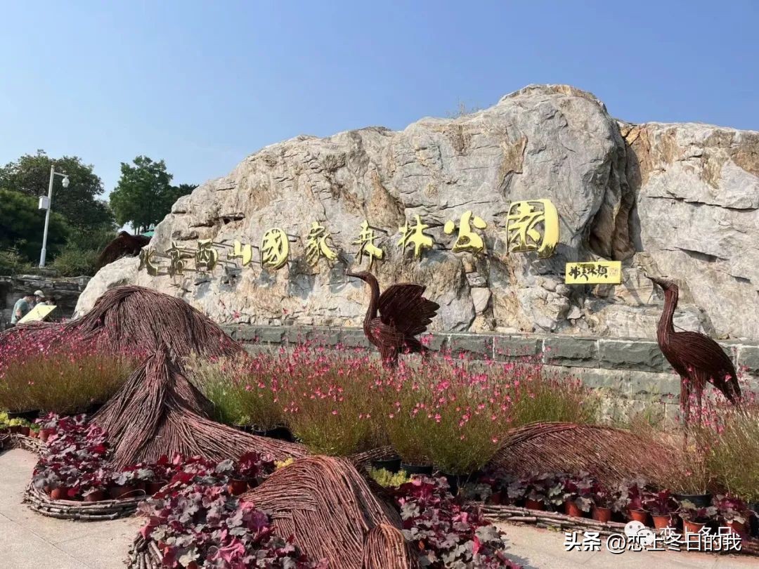 西山森林公园旅游攻略一日游,北京西山森林公园爬一圈要多久