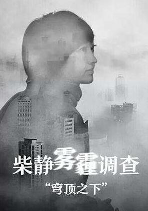 央视柴静后来怎么样了,柴静为什么离开央视