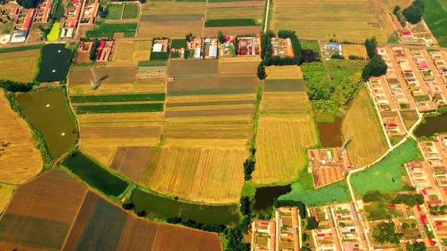 农村养殖最好养的项目是什么,40岁想回农村搞养殖不知养什么好