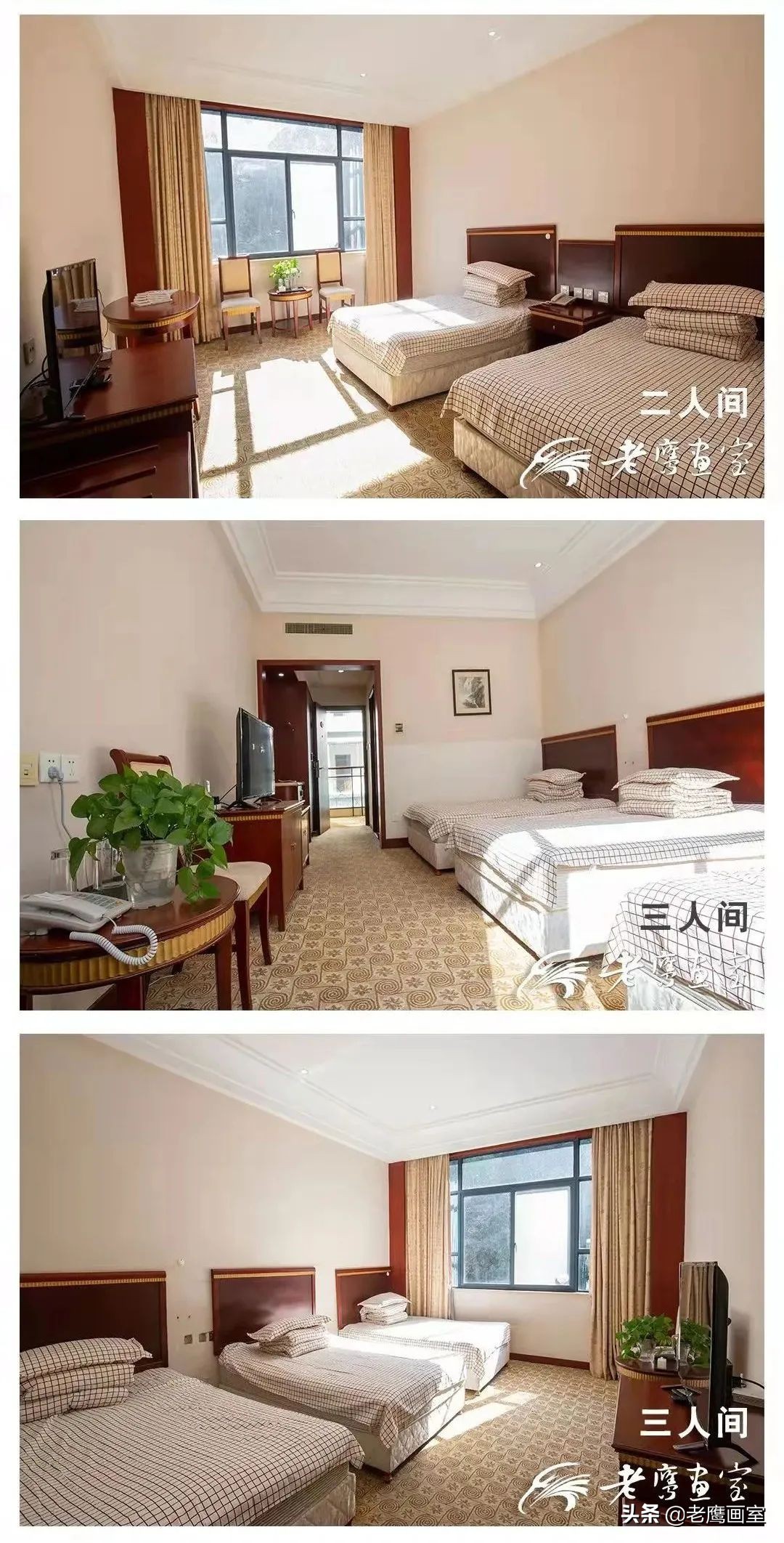 老鹰画室精品班和进阶班,成都老鹰画室和成都艺考画室