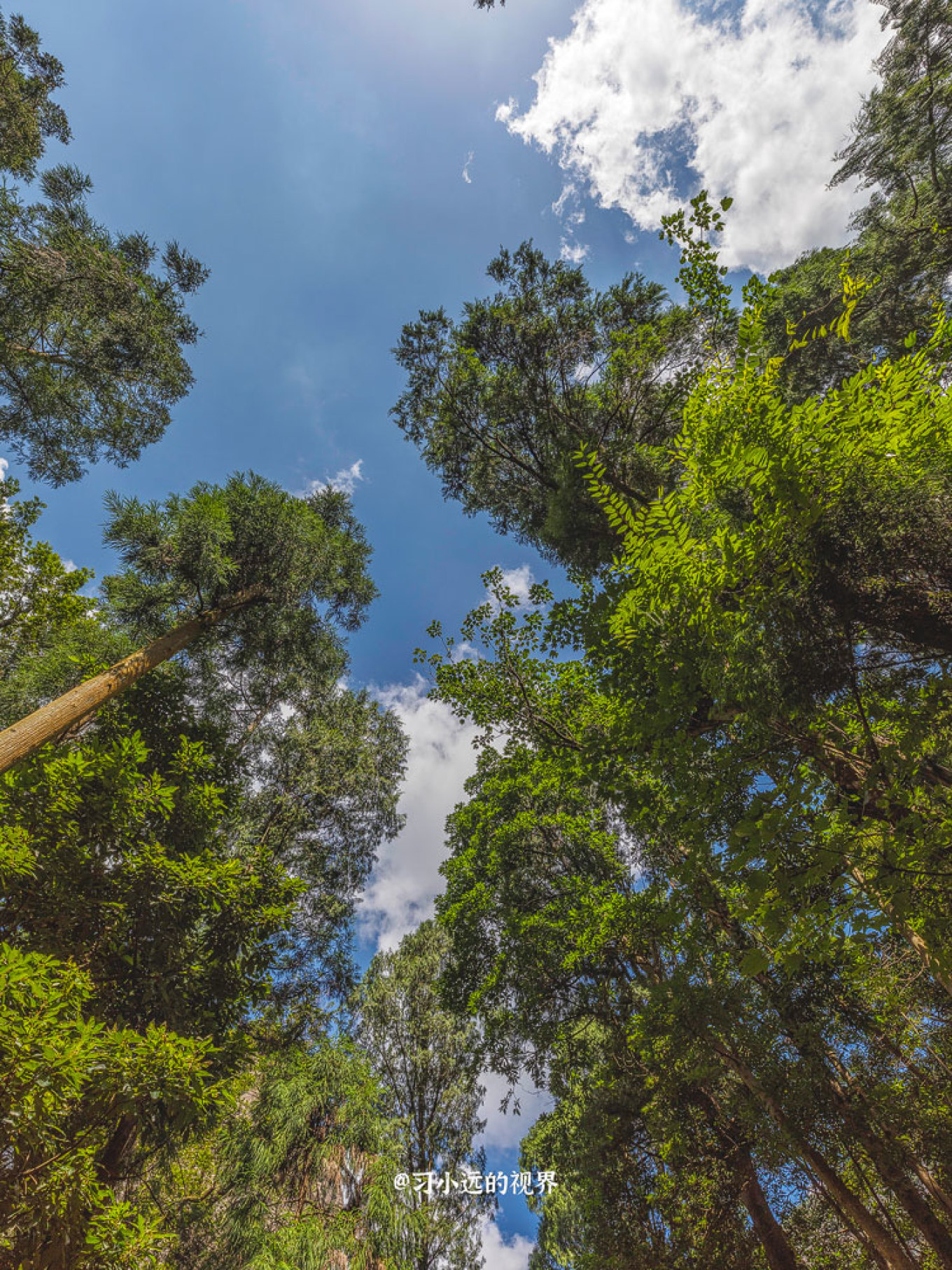 雁荡山旅游攻略2-3天一夜游,雁荡山方洞风景区一日游攻略