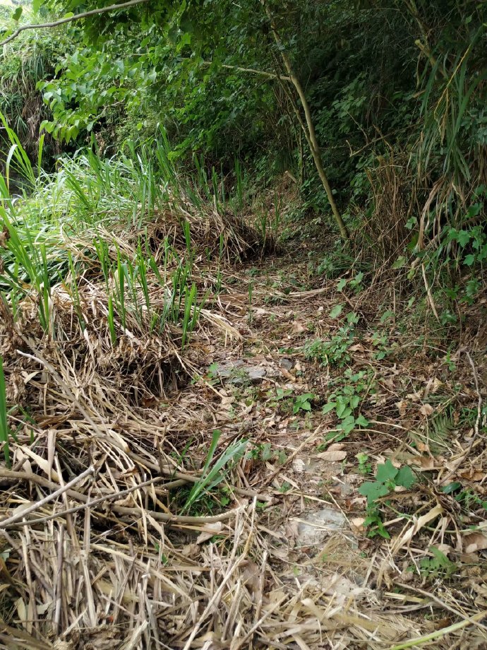 郴乐古道之水头江宜乐古道--广东省乐昌市庆云镇