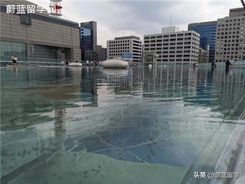 明治大学sgu项目申请条件,日本sgu项目是什么意思