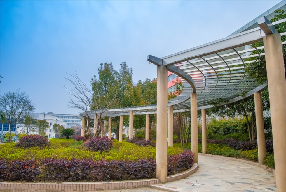 中国十大好就业的高校,中国就业率最好的985大学