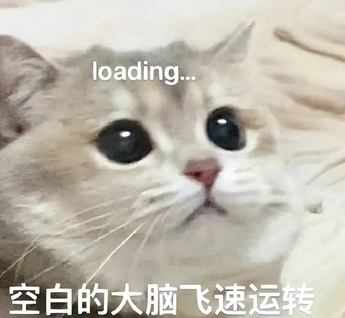 中国大学与世界顶尖大学的差距,大学澡堂和独立卫浴的区别