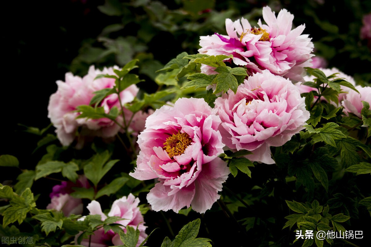 万里走单骑骑行洛阳,万里走单骑探寻大运河