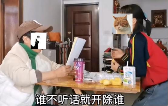 学校烟火气的生活作文,人间烟火气最抚凡人心怎么写作文