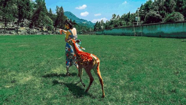 假期余额不足带孩子露营,假期余额不足赶紧郊游