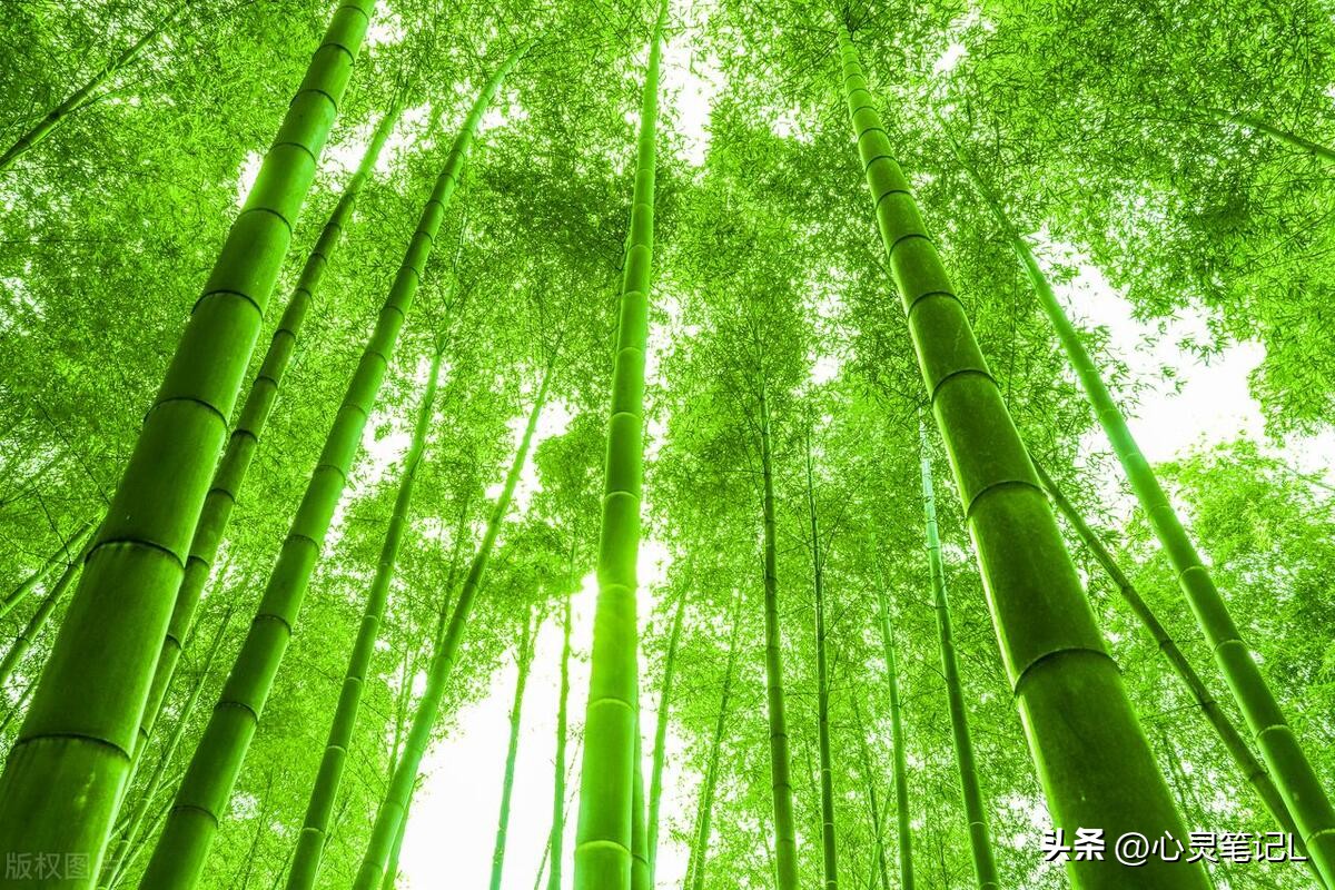 100句励志短语激励人心,十大经典励志语录短语