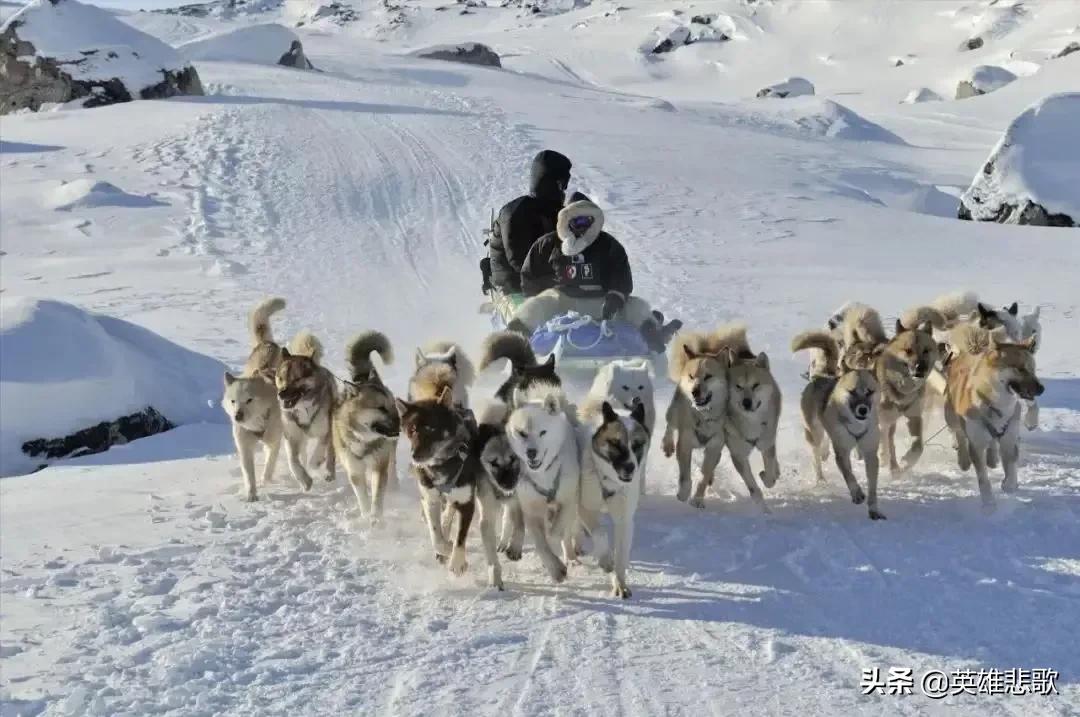 南极为什么比北极冷的原因,为什么地球南极北极一样寒冷