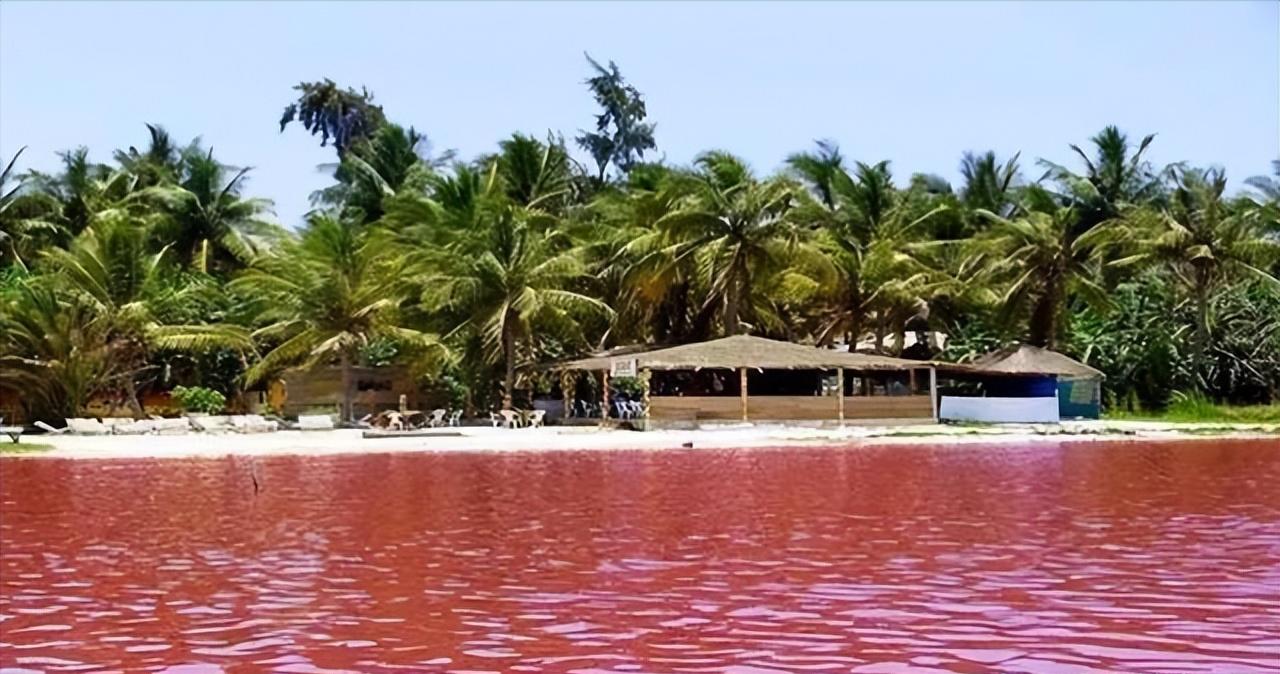 一起来看看真实的加纳,塞内加尔真实感受