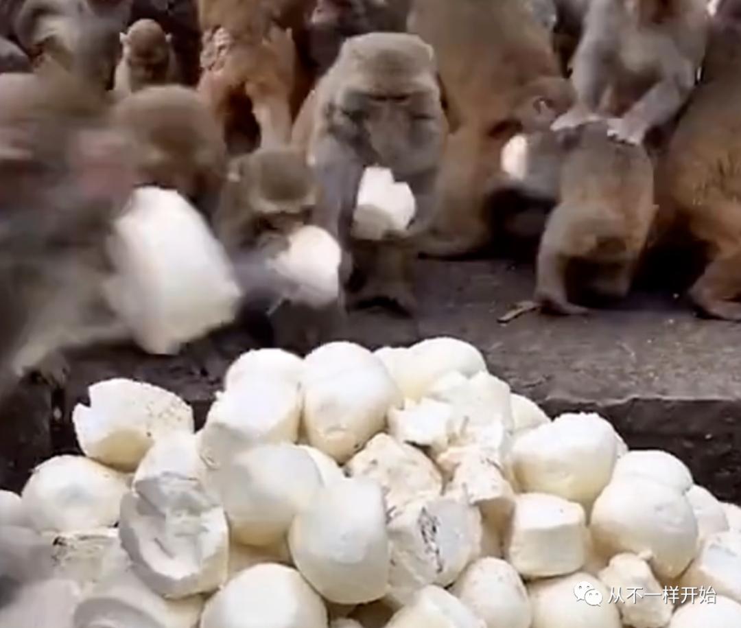 有没有真正的冰淇淋,一根冰淇淋还是一支冰淇淋