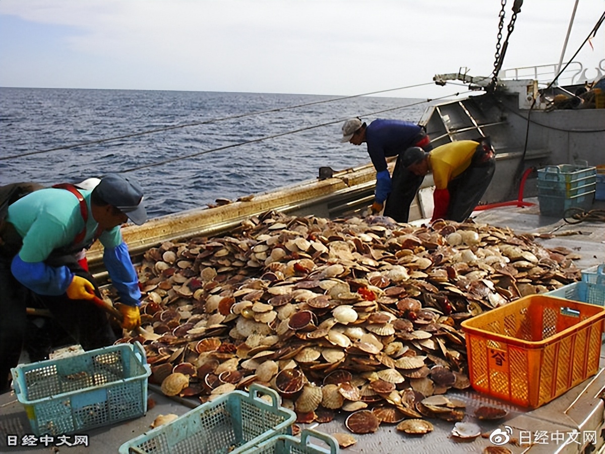 日本水产品现在销往哪里,日本水产品出口中国占比多少