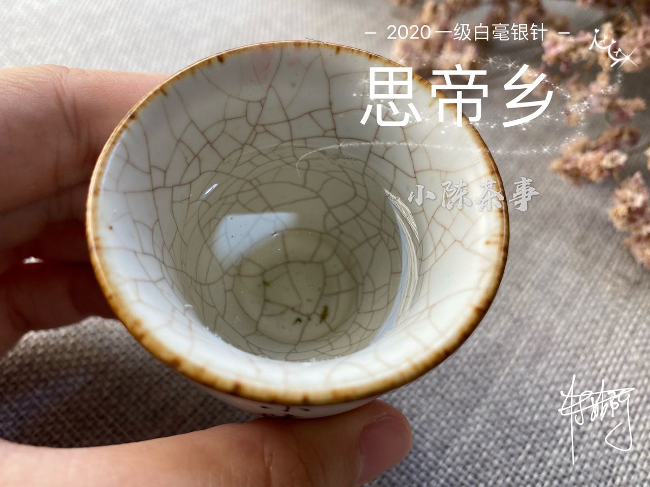 白毫银针最低多少钱真的,白毫银针便宜的能买吗