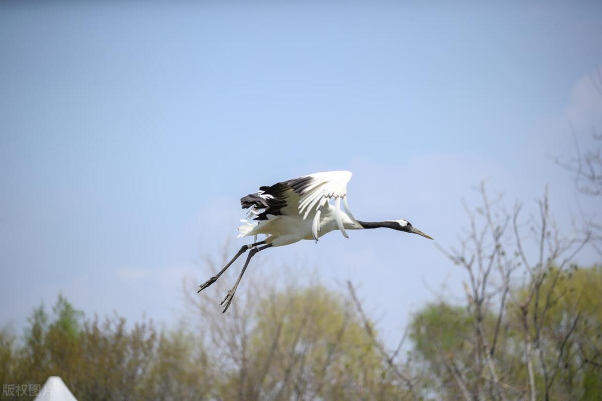 合资合作项目建议书,公司发展商业计划书