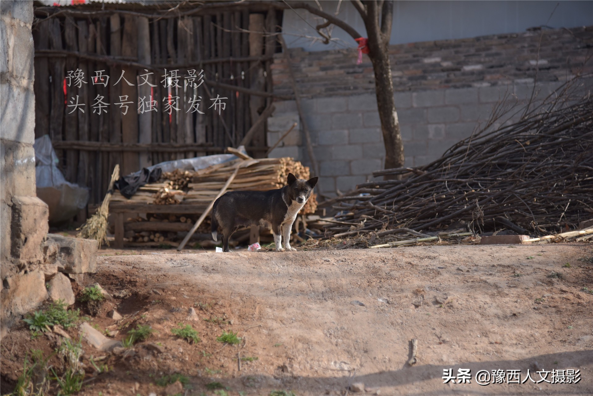 86岁大娘独居山谷，布鞋上缝两层补丁，女儿远嫁，5年才见一次面