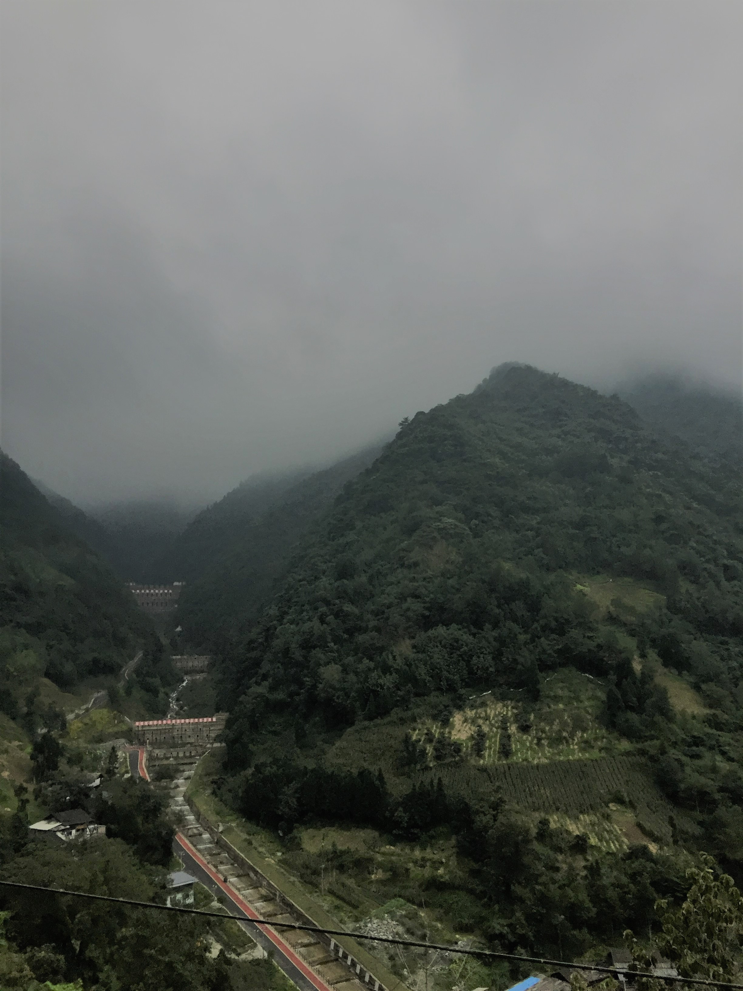 养殖致富经养羊技术,养殖羊的思路和经营模式