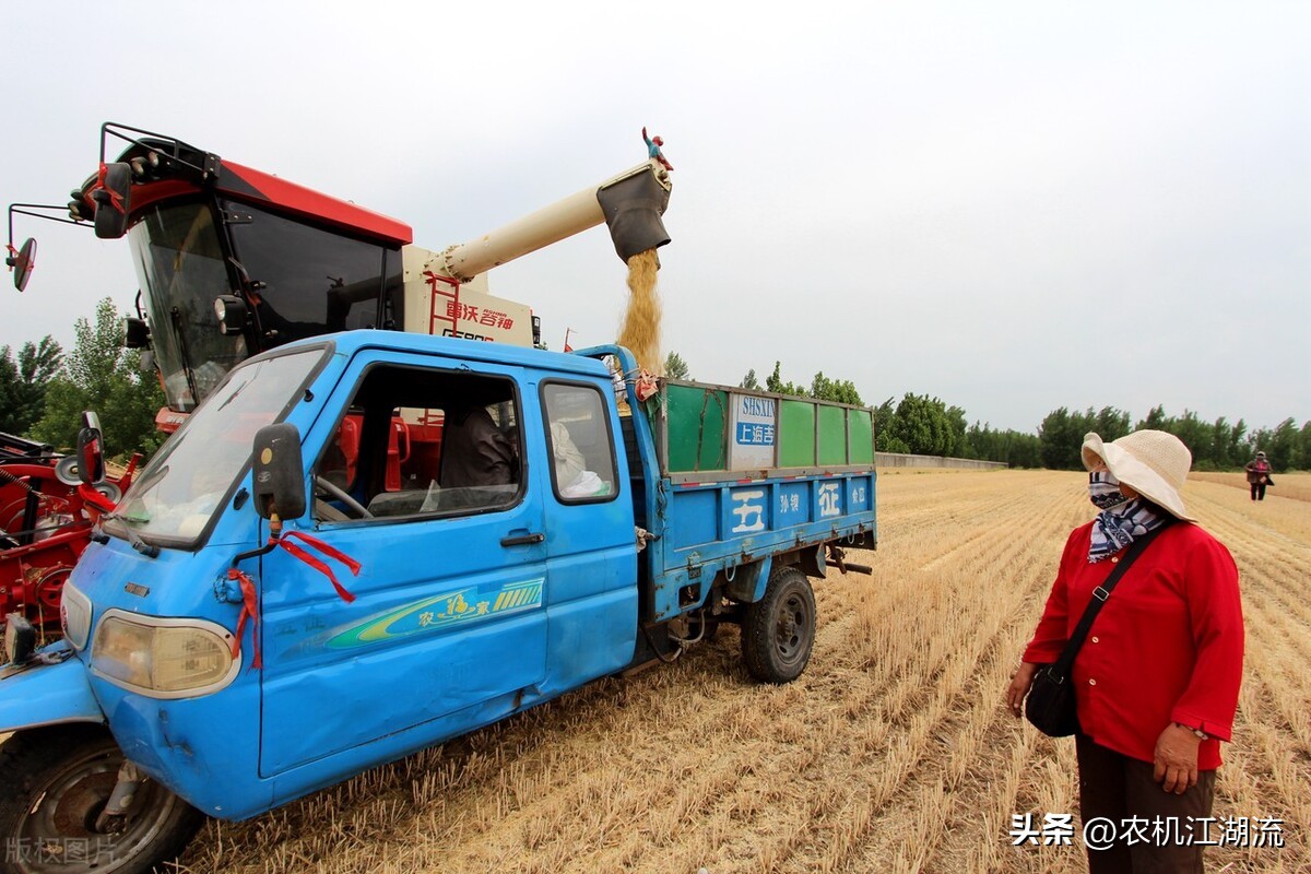 中联谷王小麦收割机,谷王小麦收割机vs雷沃小麦收割机