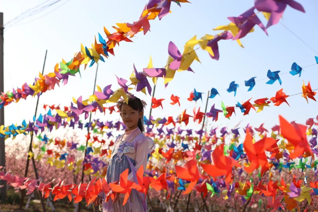 休闲农业与乡村旅游项目分析,休闲农业与乡村旅游什么时候开始