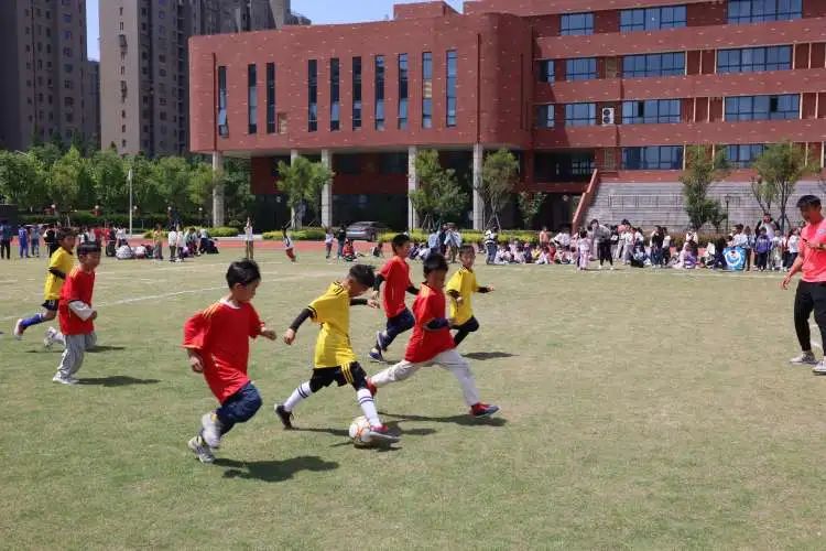 绿茵点燃梦想足球彰显青春,足球点燃梦想激情挥洒青春