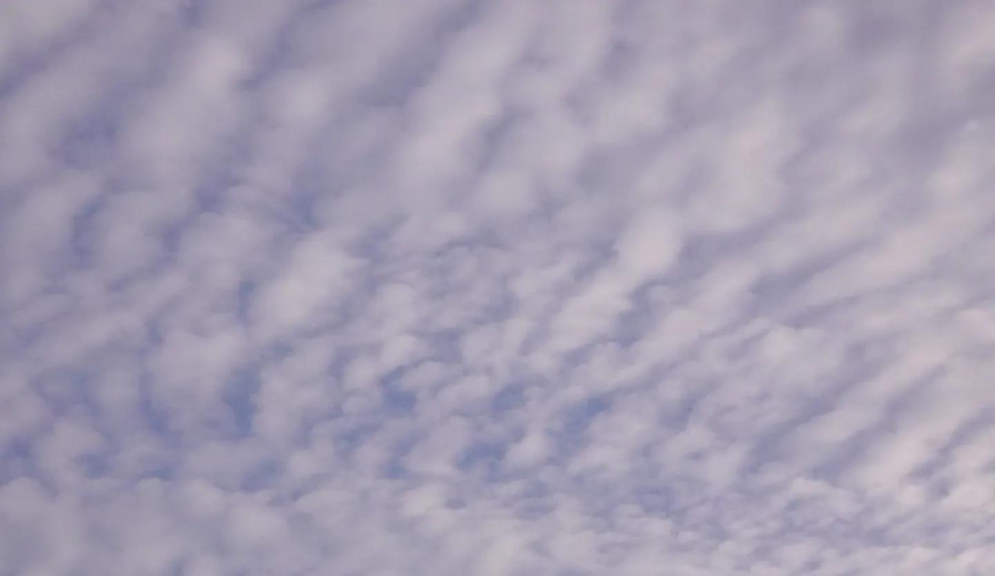 若能“三无”，就得逍遥：《逍遥游》的含义及逻辑［也人］