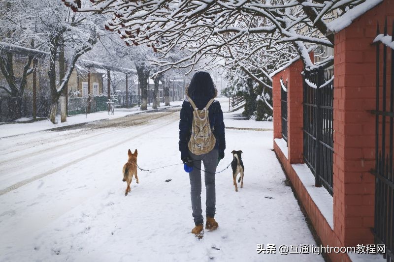 提升照片观感的10个摄影技巧,摄影一定要拍出照片意境6个技巧