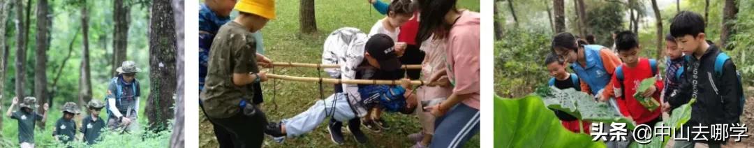 纪雅冬令营招生简章,纪雅冬令营报名