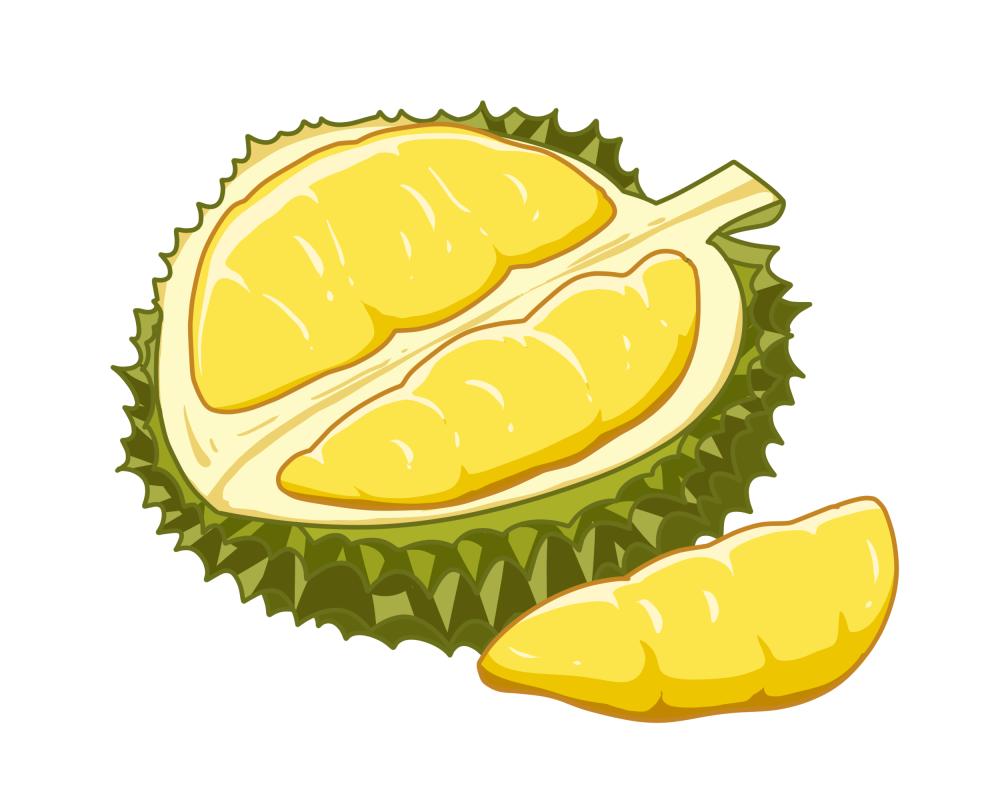 如何精准挑到报恩榴莲,到底怎么能精准挑到报恩榴莲