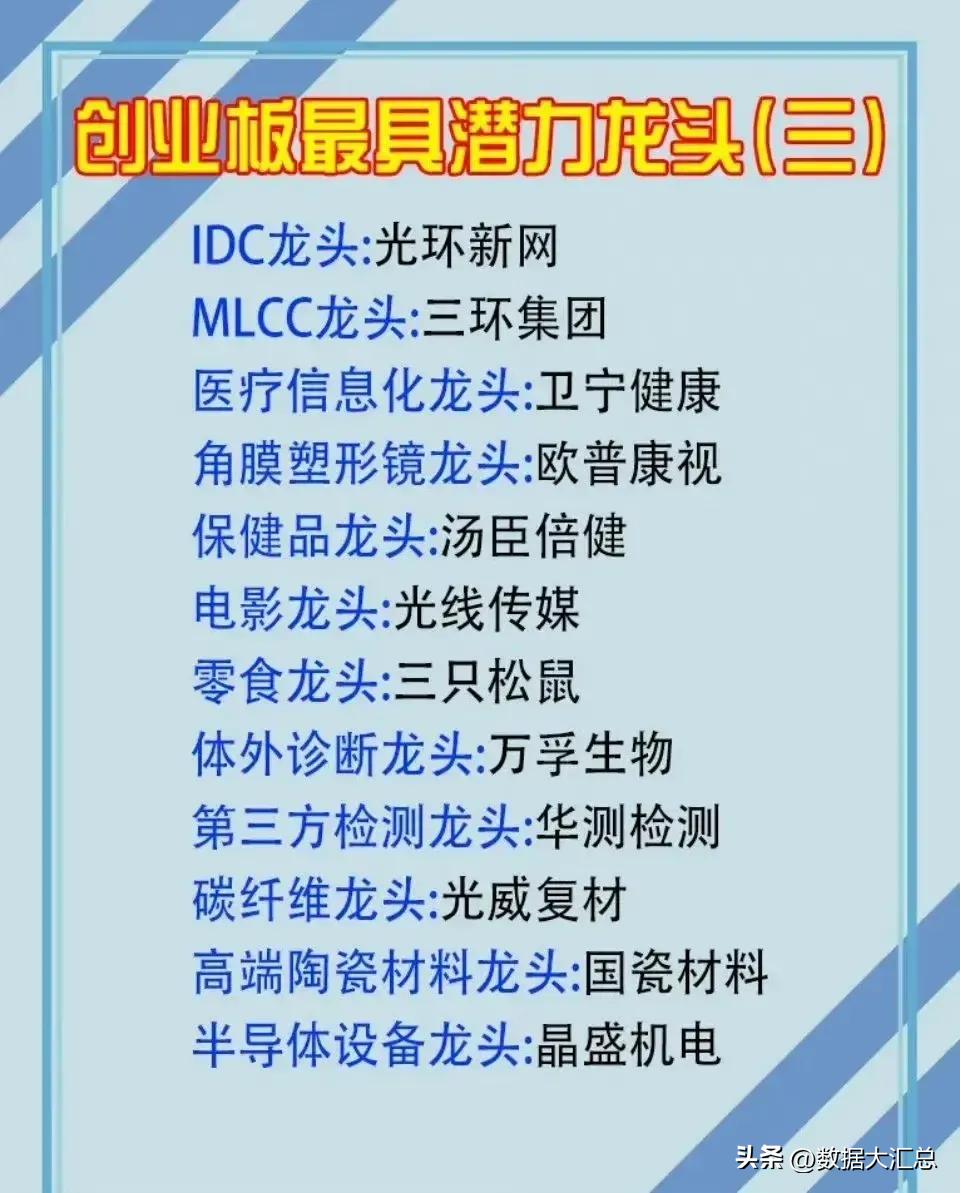 中成药股细分龙头,行业龙头板块有哪些股票