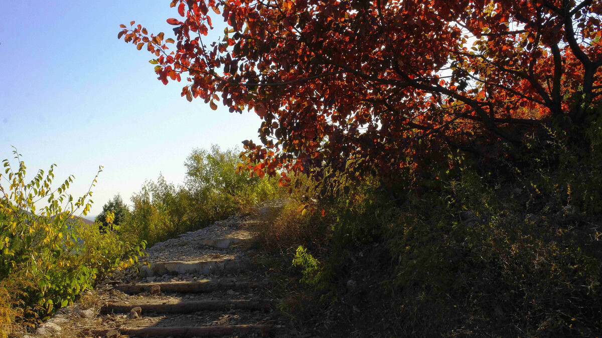 中华成语故事典故大全100篇,成语典故故事大全集
