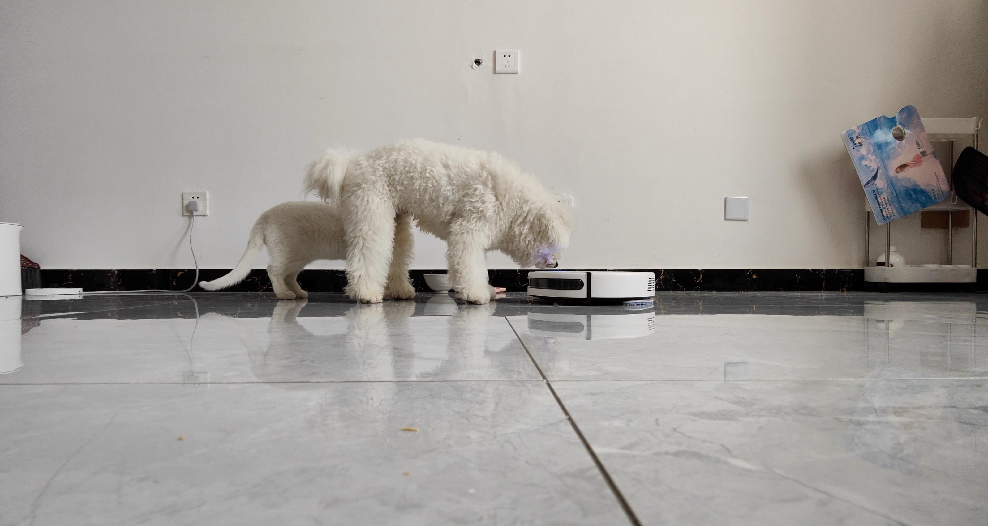 浦瑞克全自动扫地机器人,浦瑞克扫地机器人怎么用教程