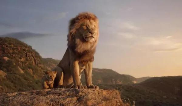 老虎老了会饿死吗,狮子老虎为什么要灭绝