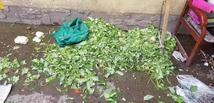 忆爸妈想爹妈,忆父母女声完整版