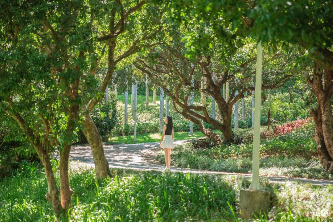 深圳最值得去的十个地方,深圳吃货必去的地方