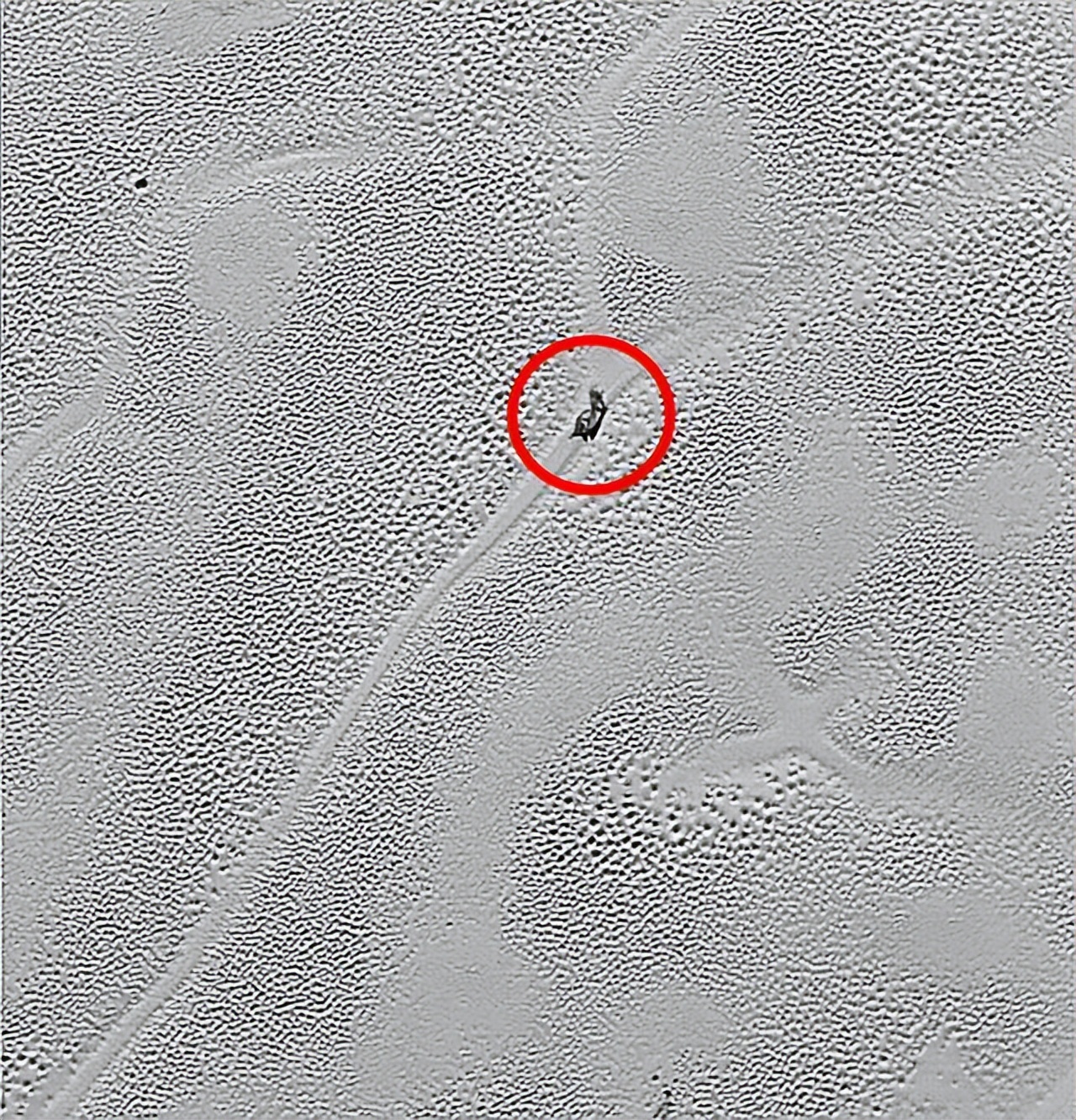 冥王星为何被踢出九大行星之列,冥王星为什么被踢出九大行星了呢