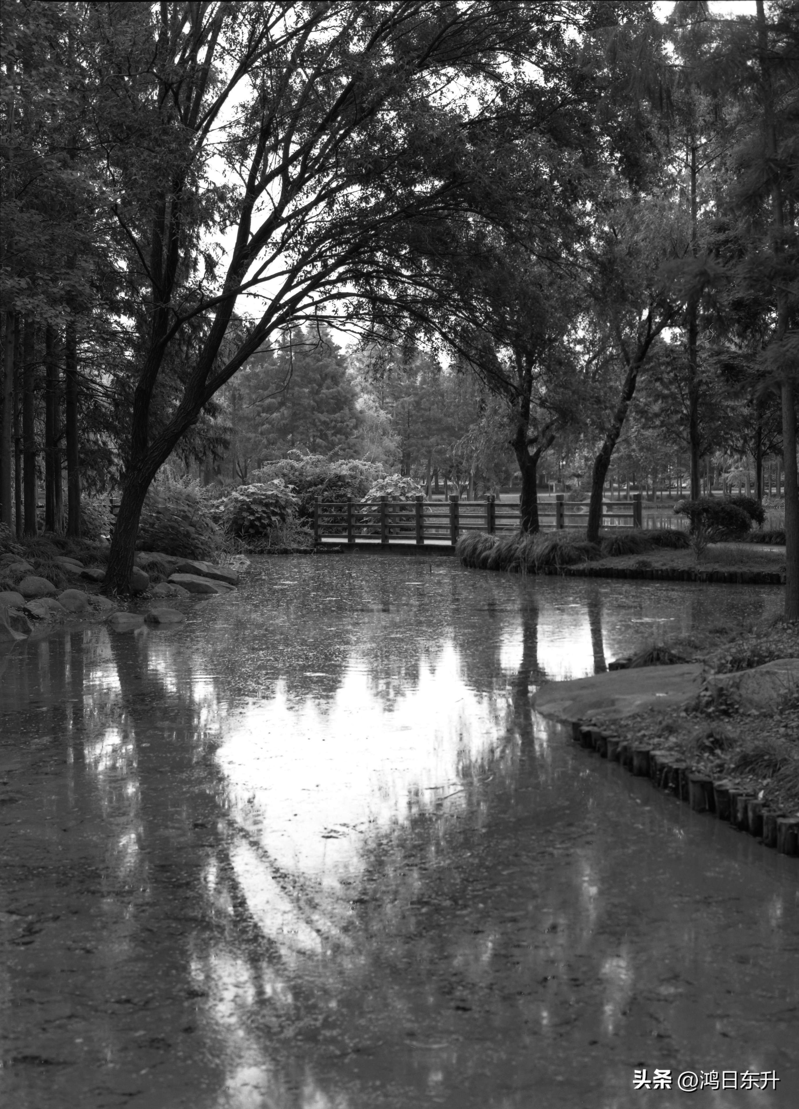 宾得645Nii老胶片相机值得拥有