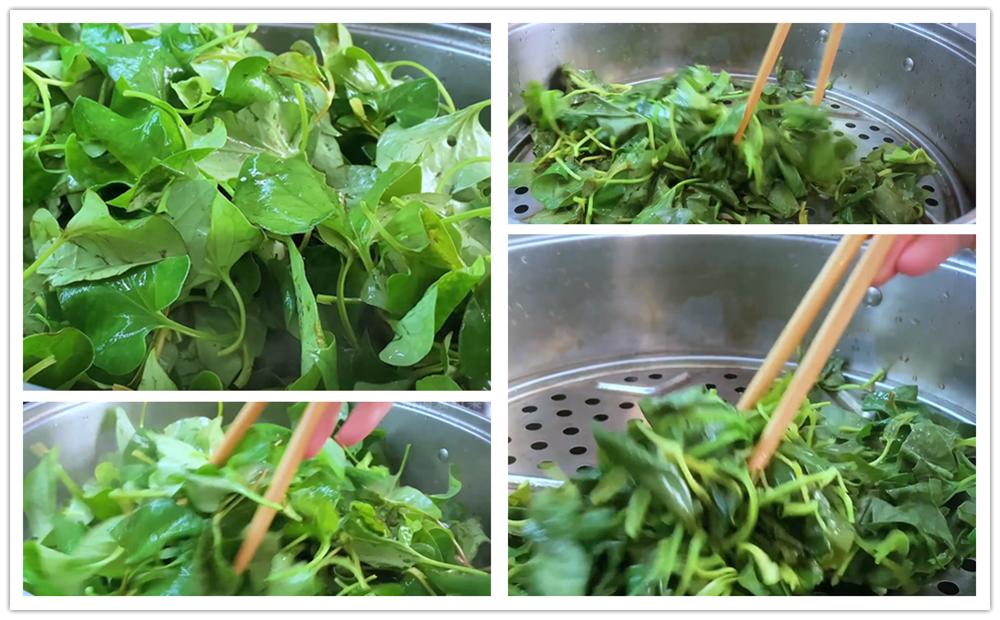 鱼腥草茶怎样做,鱼腥草茶怎么做