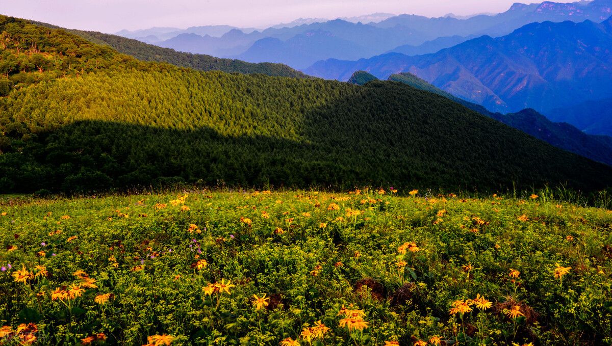 晋享清凉活力一夏启动,晋享清凉活力一夏太原采访