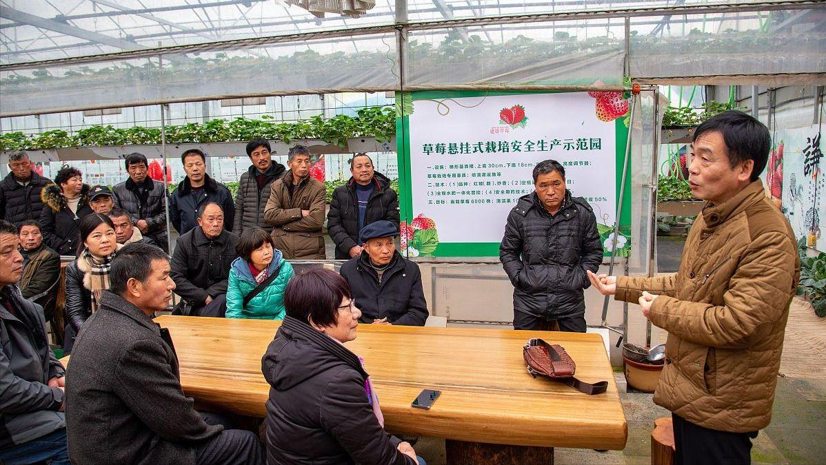 乡村运营赋能乡村振兴,深耕乡村工作助力乡村振兴