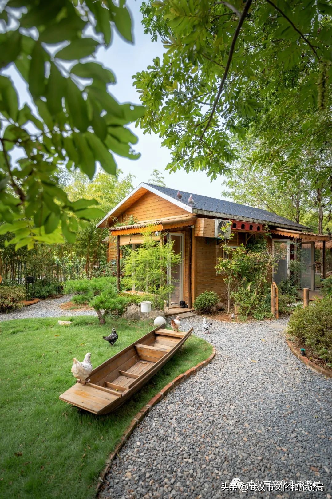 九月，秋风吹进武汉人的小院