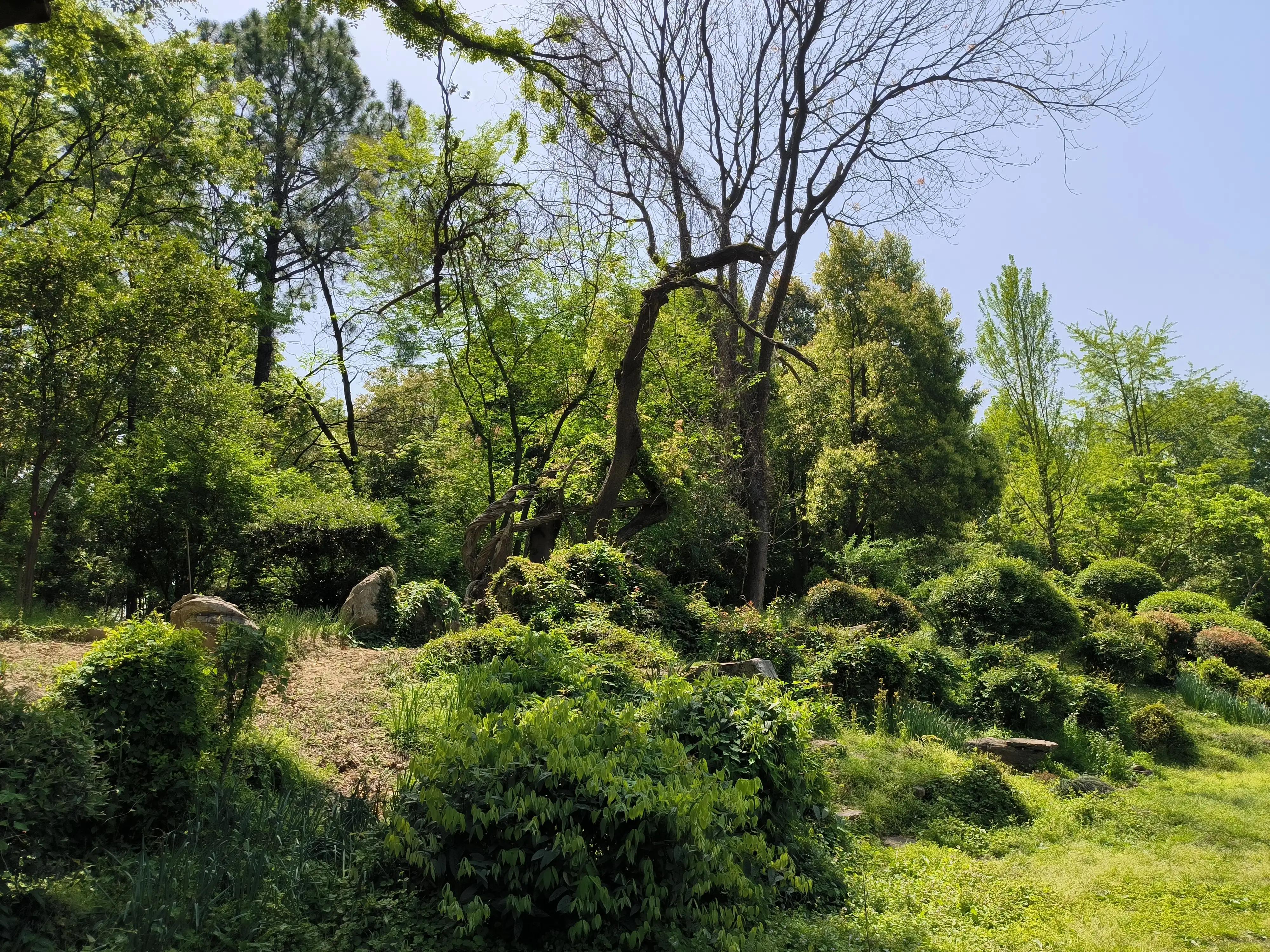 段永平商业模式,段永平谈商业模式全集
